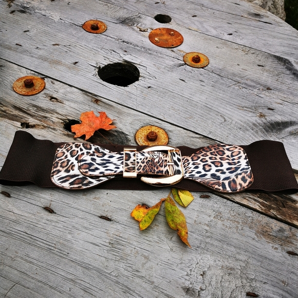Ardene Spain Faux Leather Leopard Print Brown Stretch Gold Buckle Belt - Picture 1 of 16